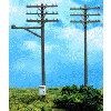 Telephone Poles